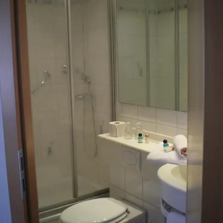 فندق Zurmuehlen 3*